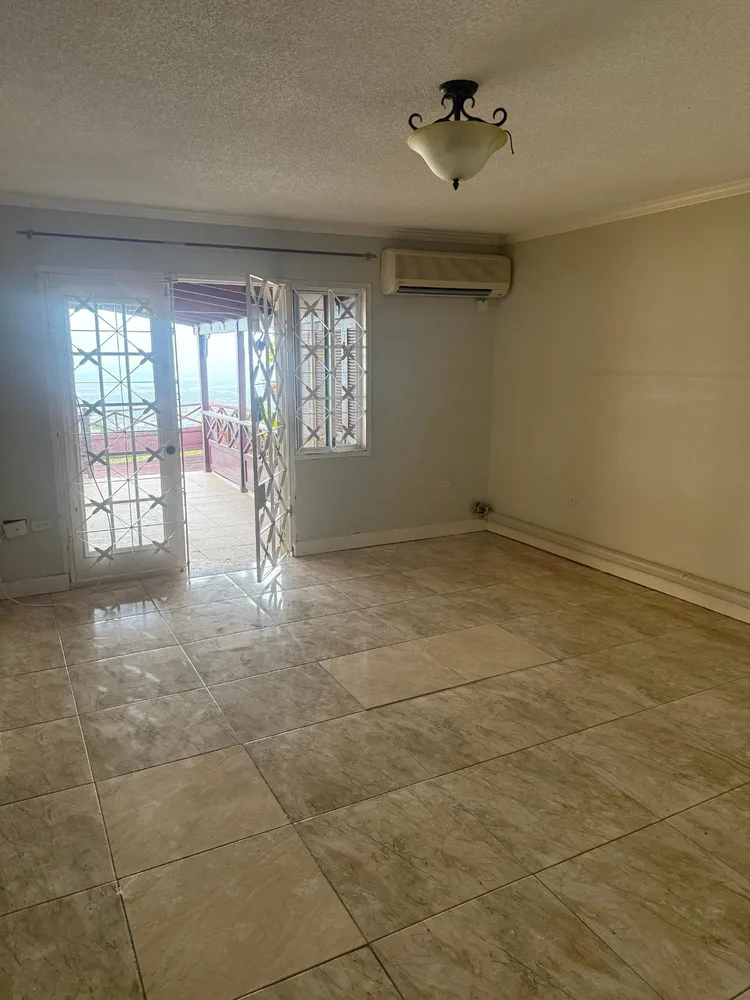 LANTANA Kingston  St. Andrew