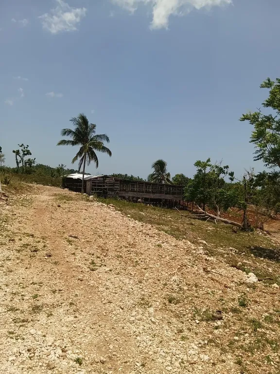KNAPDALE, ST. ANN St. Ann