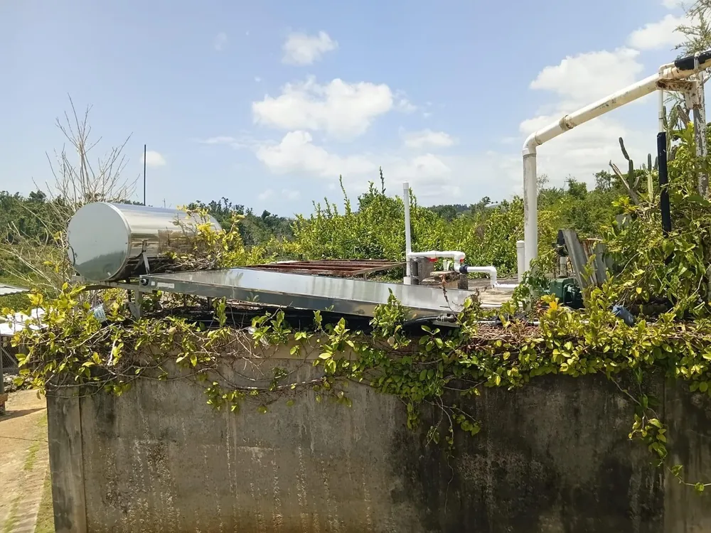 KNAPDALE, ST. ANN St. Ann