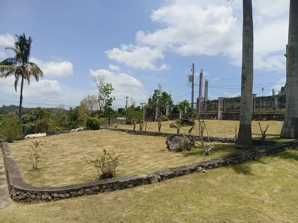KNAPDALE, ST. ANN St. Ann