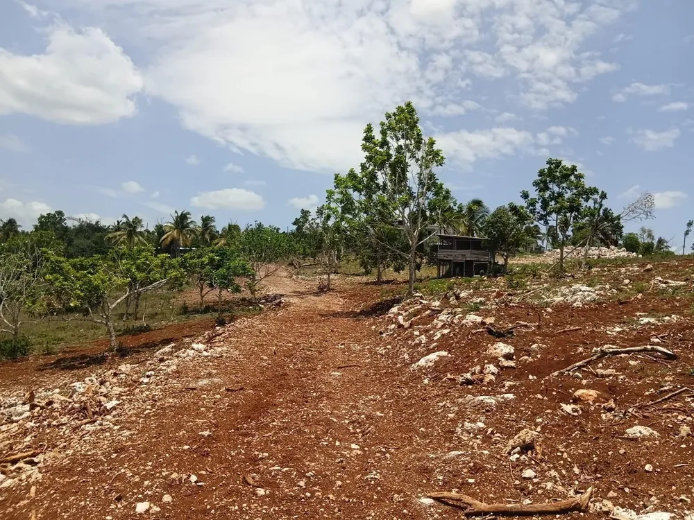 KNAPDALE, ST. ANN St. Ann