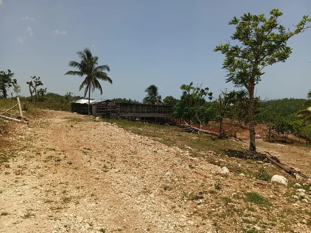 KNAPDALE, ST. ANN St. Ann