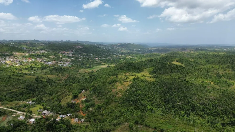 KNAPDALE, ST. ANN St. Ann
