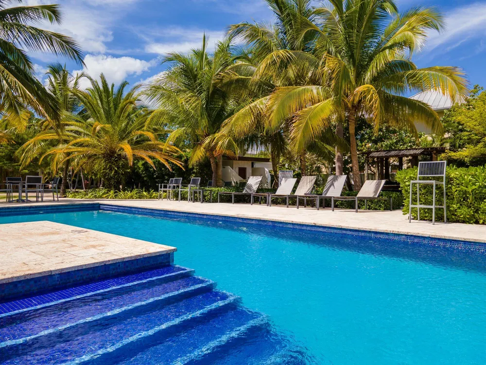 22 FREEPORT, TONY HART BL St. James