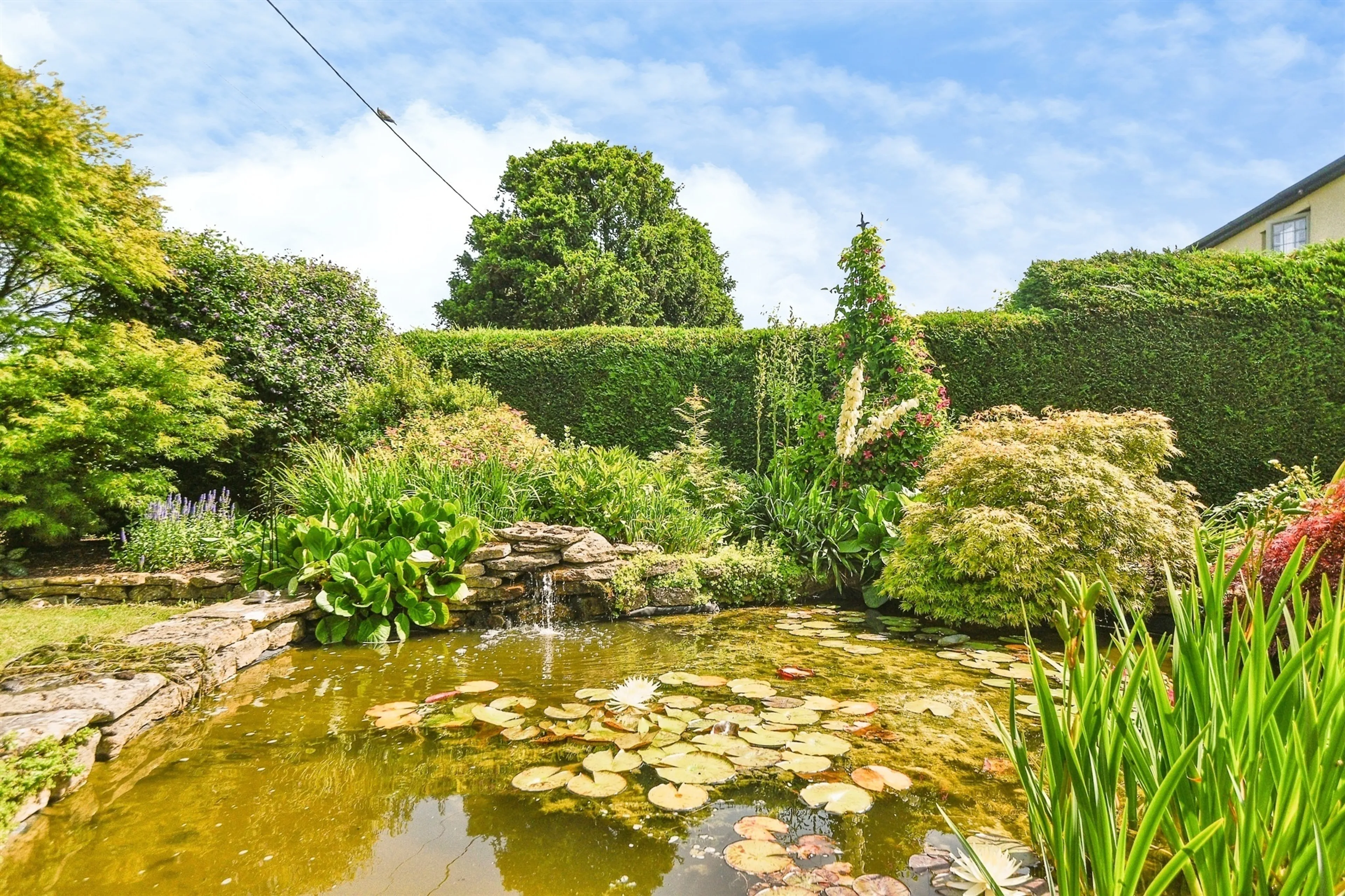 Property photo 20
