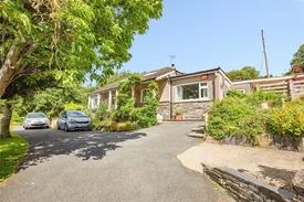 Property responsive