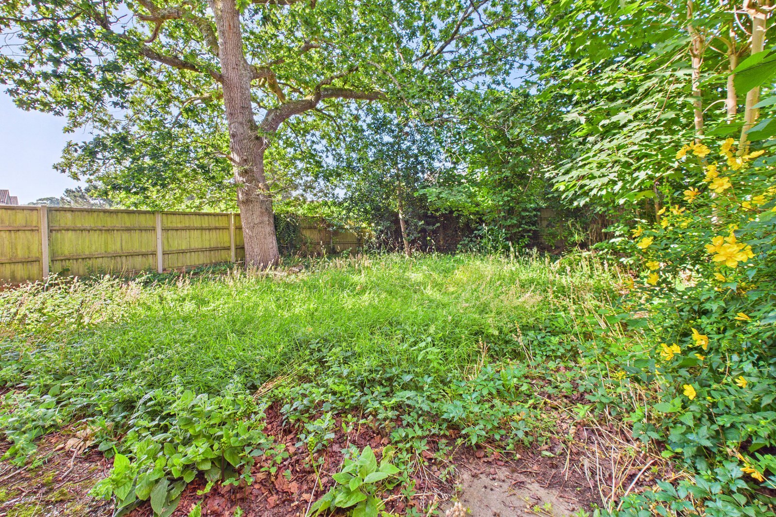 Egdon Drive, Wimborne, Dorset, BH21 Image 4