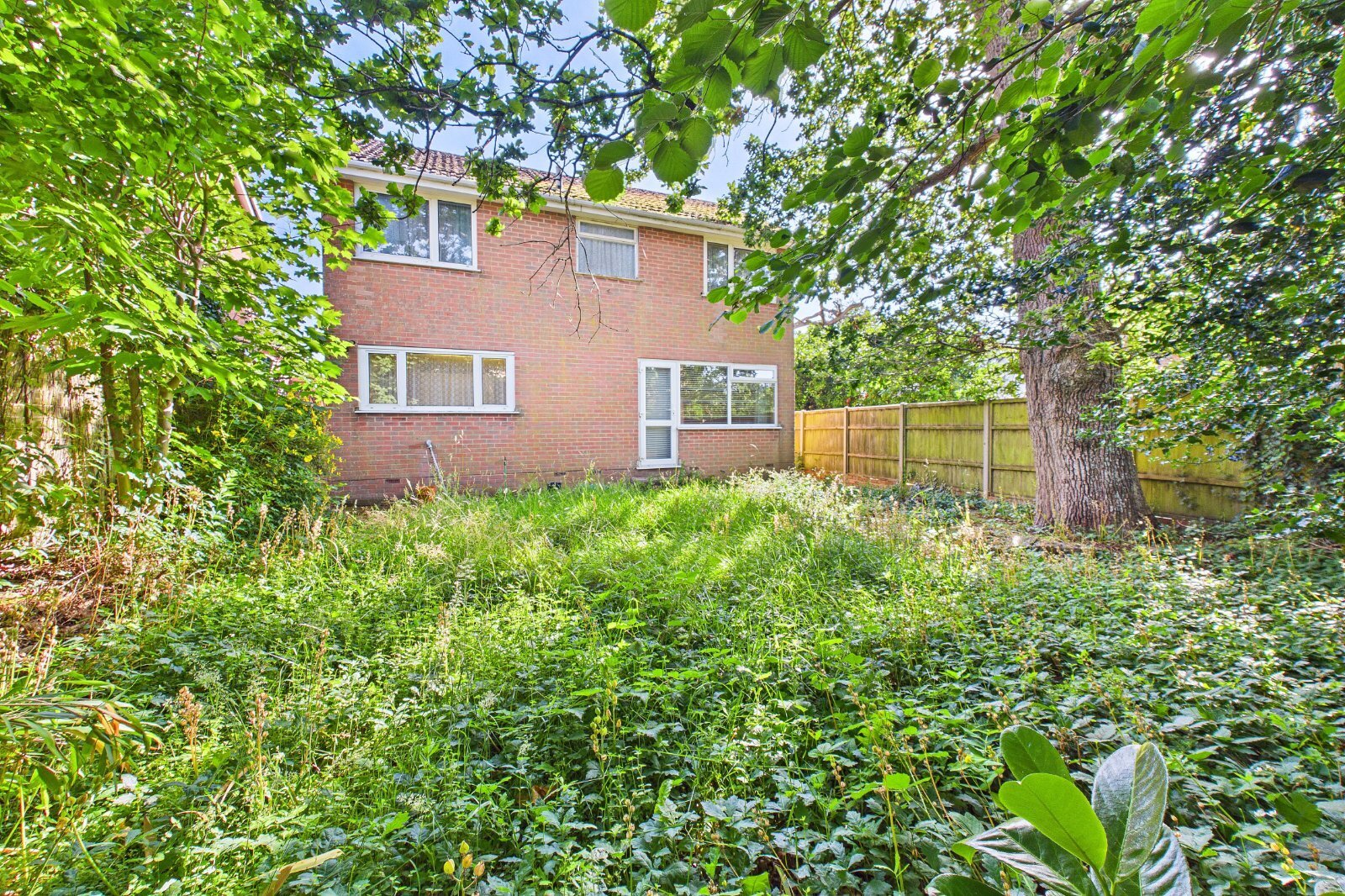 Egdon Drive, Wimborne, Dorset, BH21 Image 5