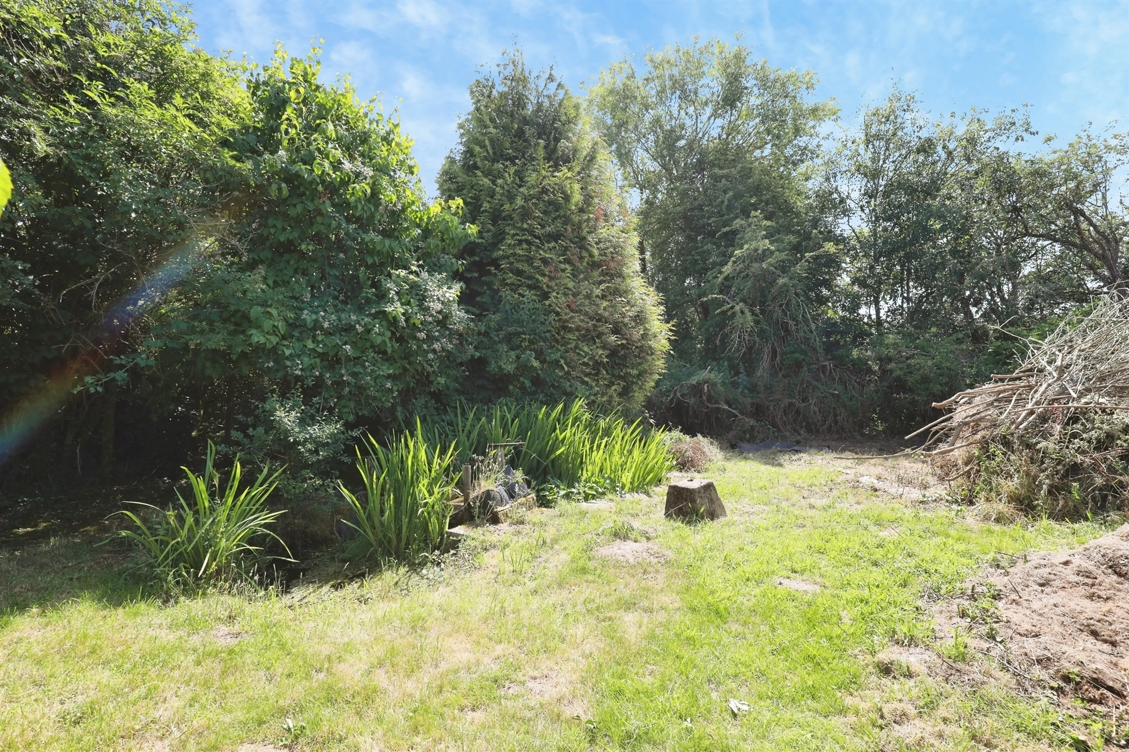 Property photo 31