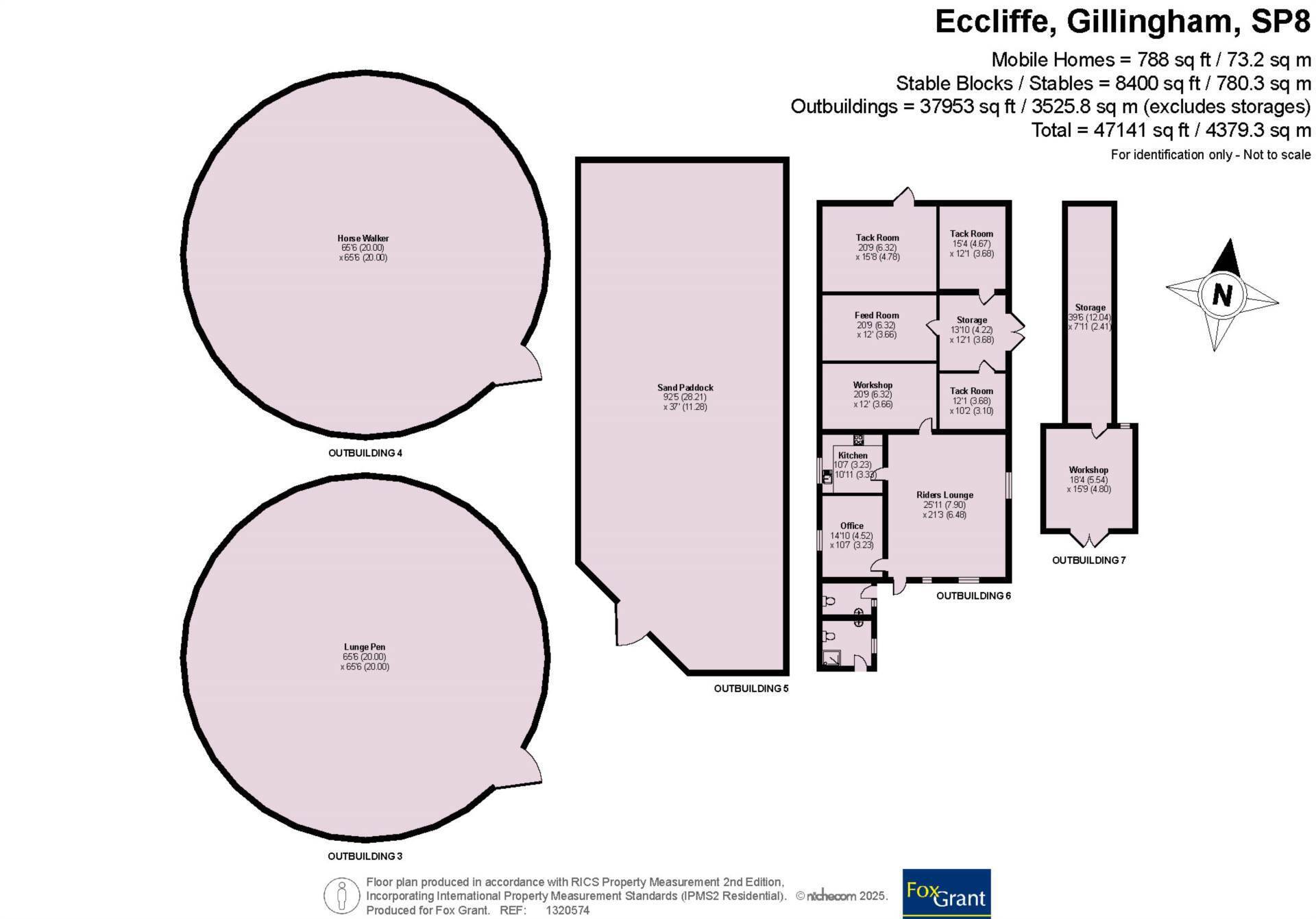 Eccliffe, Dorset, Equestrian 27 Acres Image 6