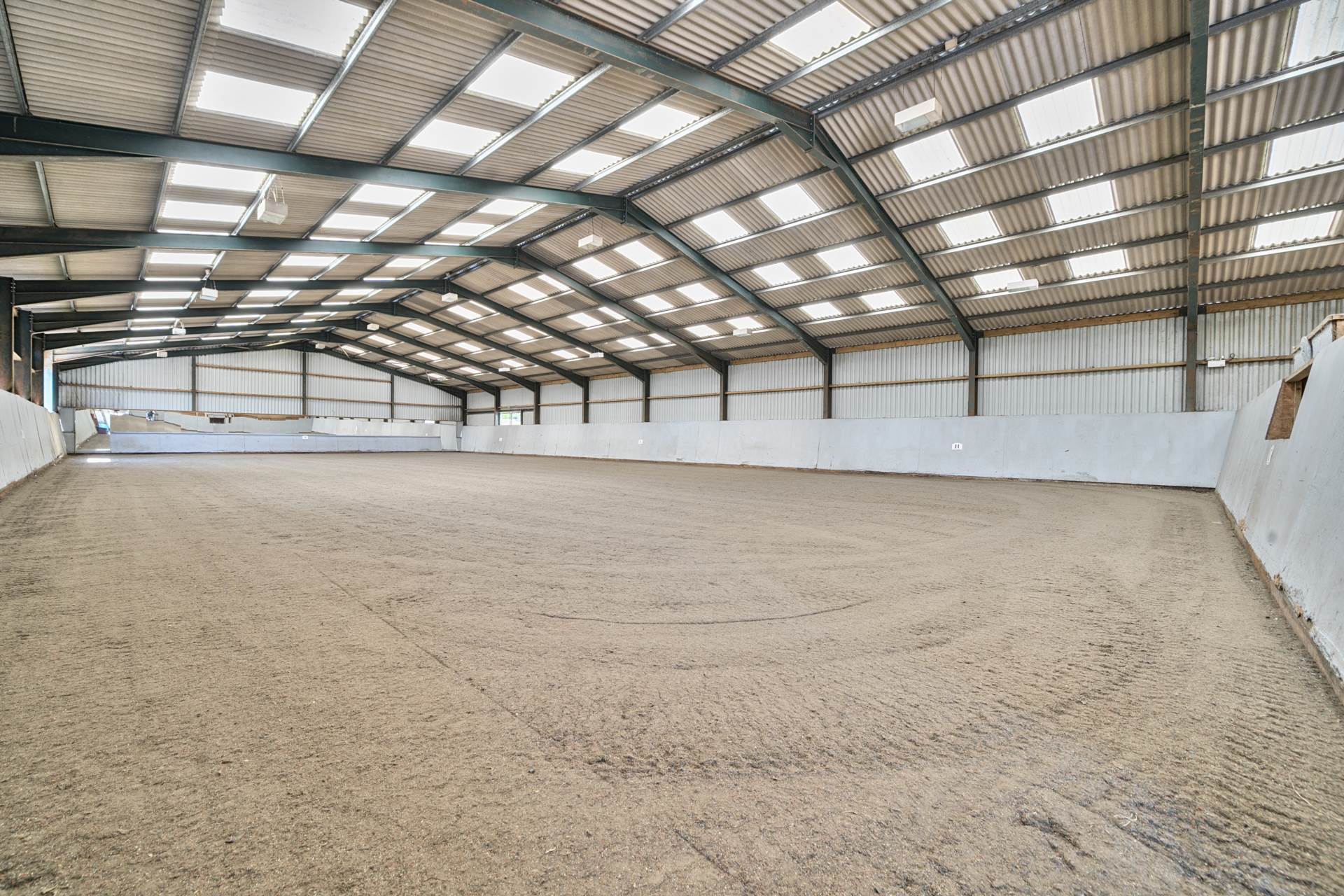 Eccliffe, Dorset, Equestrian 27 Acres Image 10