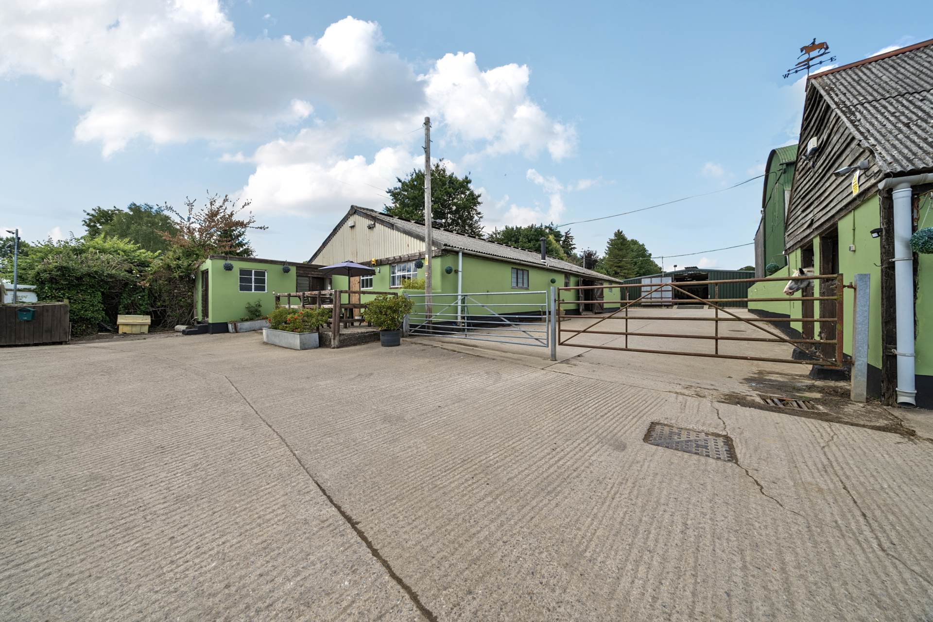 Eccliffe, Dorset, Equestrian 27 Acres Image 23
