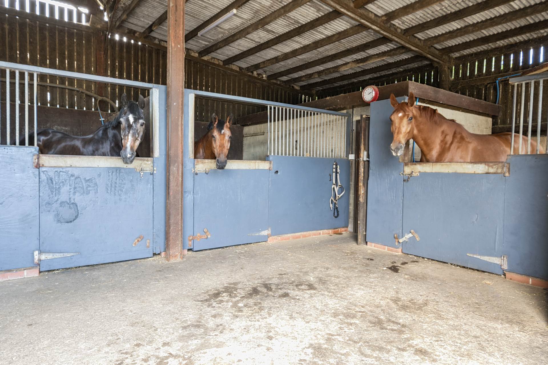 Eccliffe, Dorset, Equestrian 27 Acres Image 24