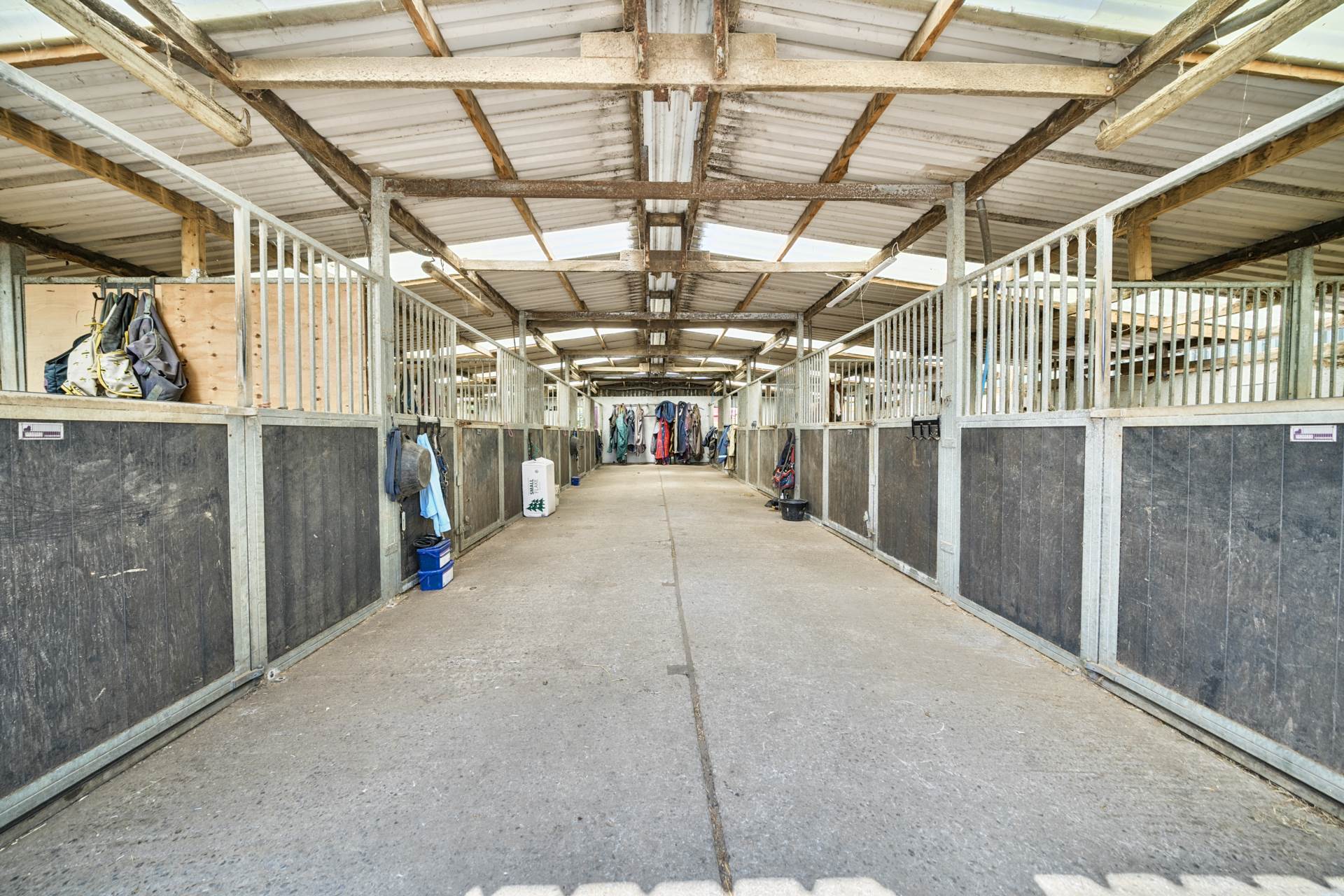 Eccliffe, Dorset, Equestrian 27 Acres Image 28