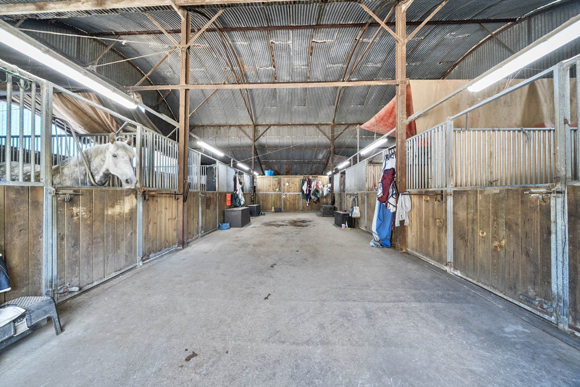 Eccliffe, Dorset, Equestrian 27 Acres Image 30