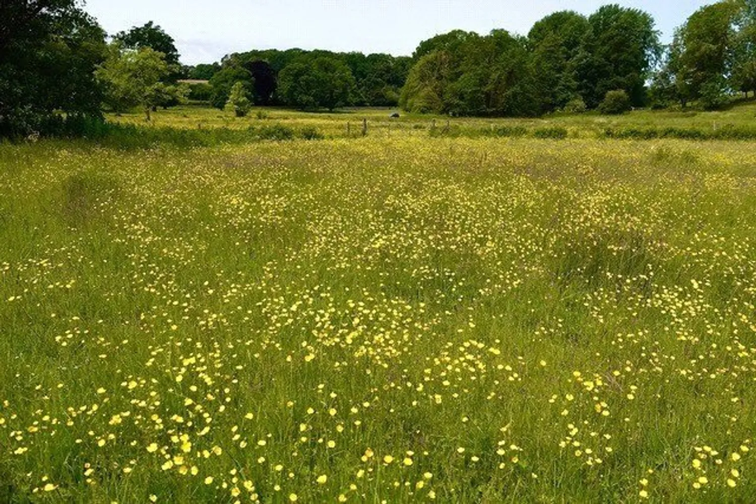 Blakeney Road, Letheringsett, NR25 photo 21