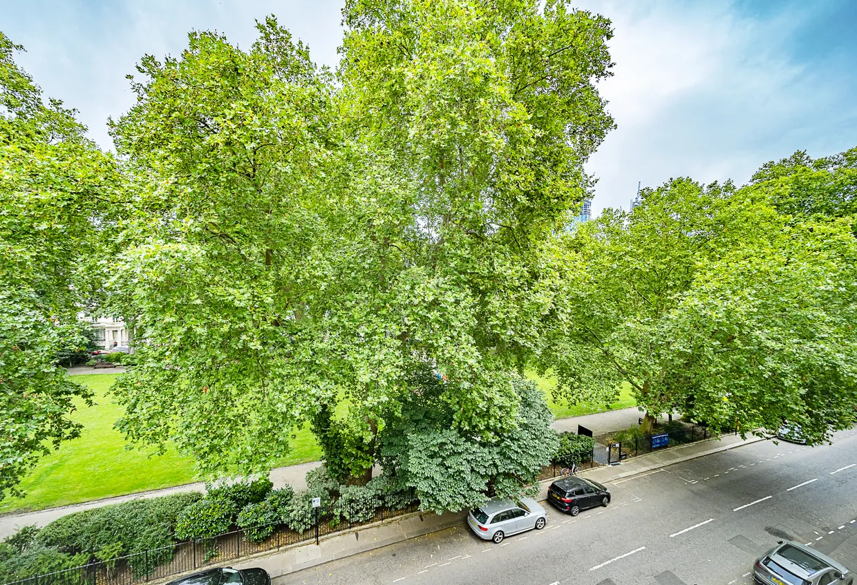 St George's Square, London, SW1V photo 9
