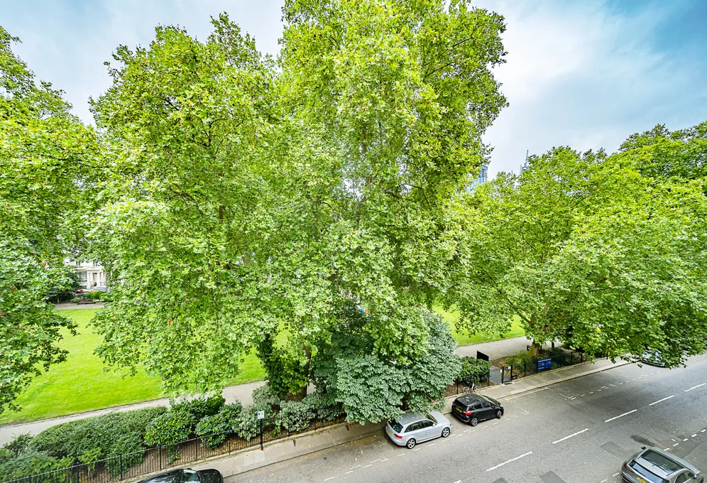 St George's Square, London, SW1V photo 9