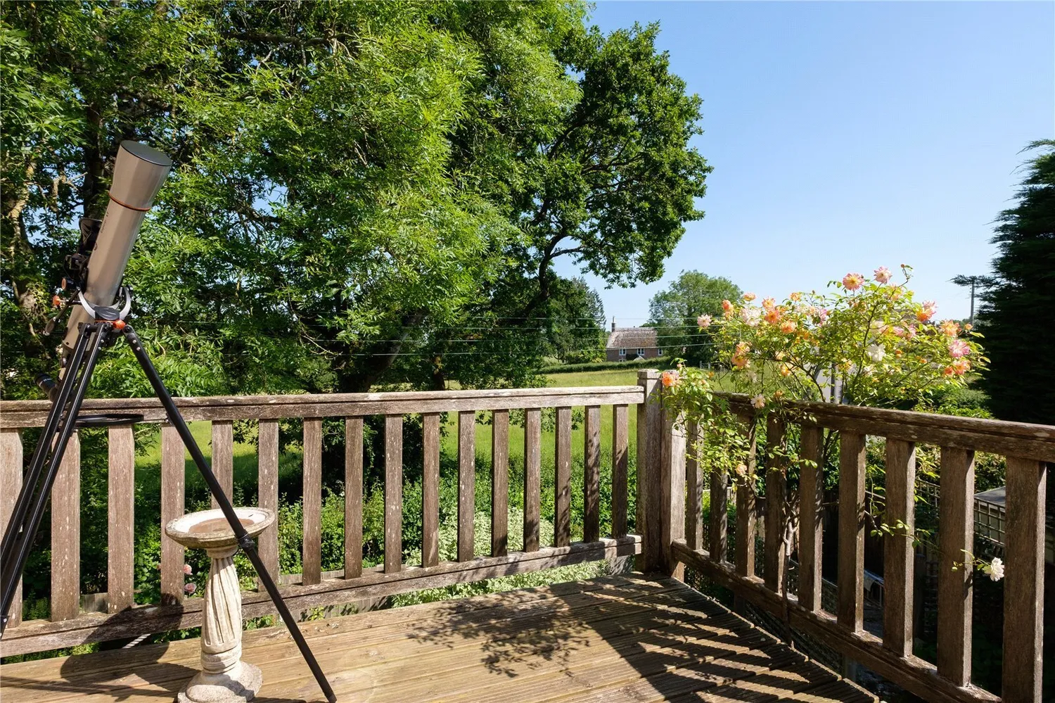 Whitchurch Canonicorum, Bridport, DT6 photo 26