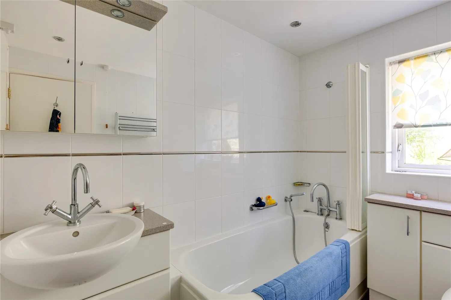 Whitchurch Canonicorum, Bridport, DT6 photo 32