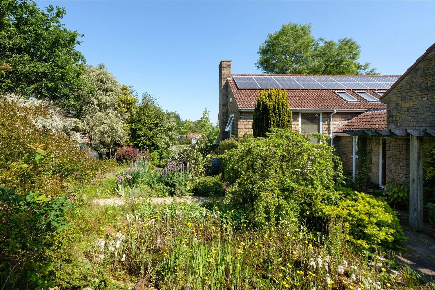 Whitchurch Canonicorum, Bridport, DT6 photo 40