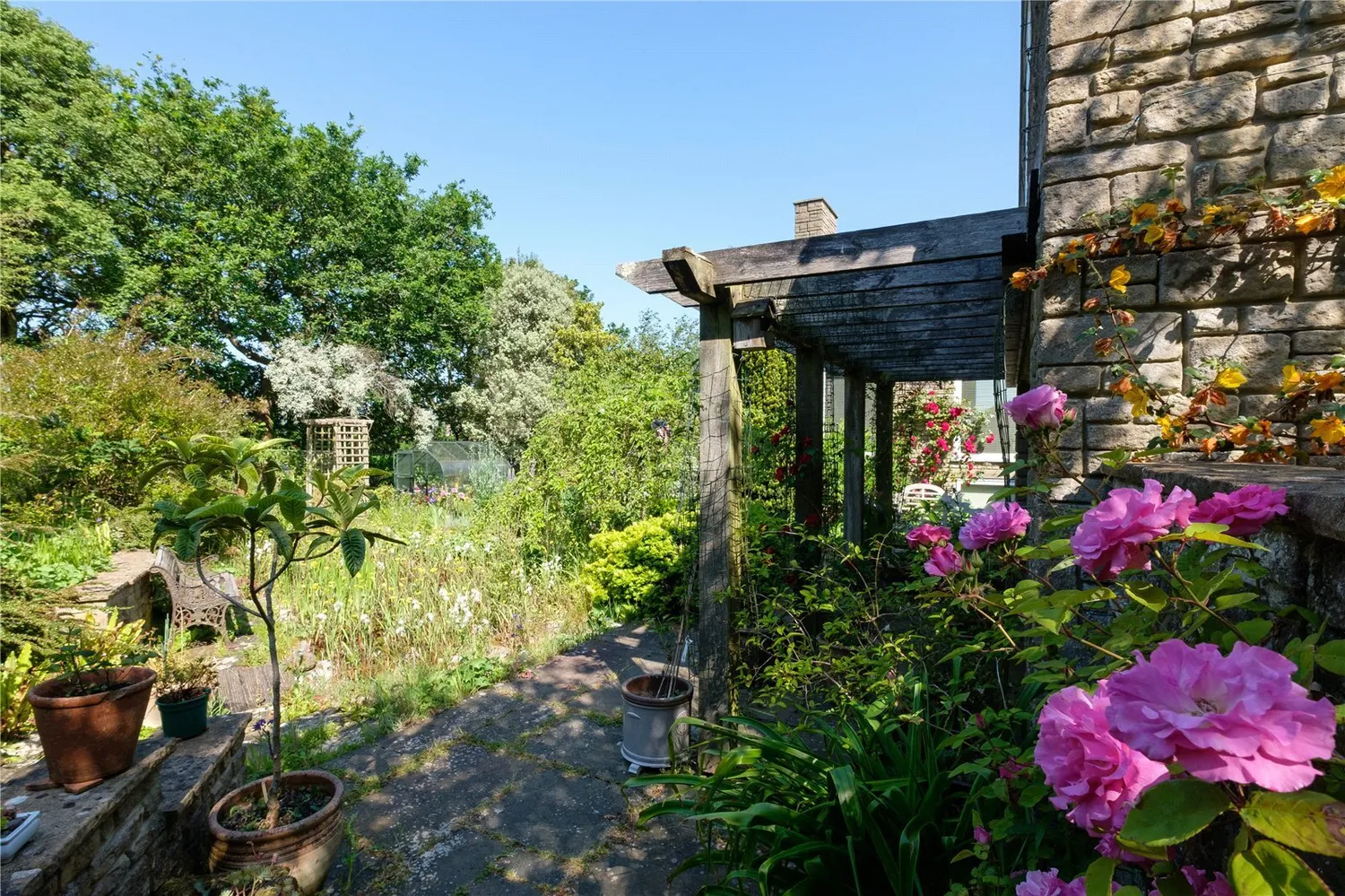Whitchurch Canonicorum, Bridport, DT6 photo 41