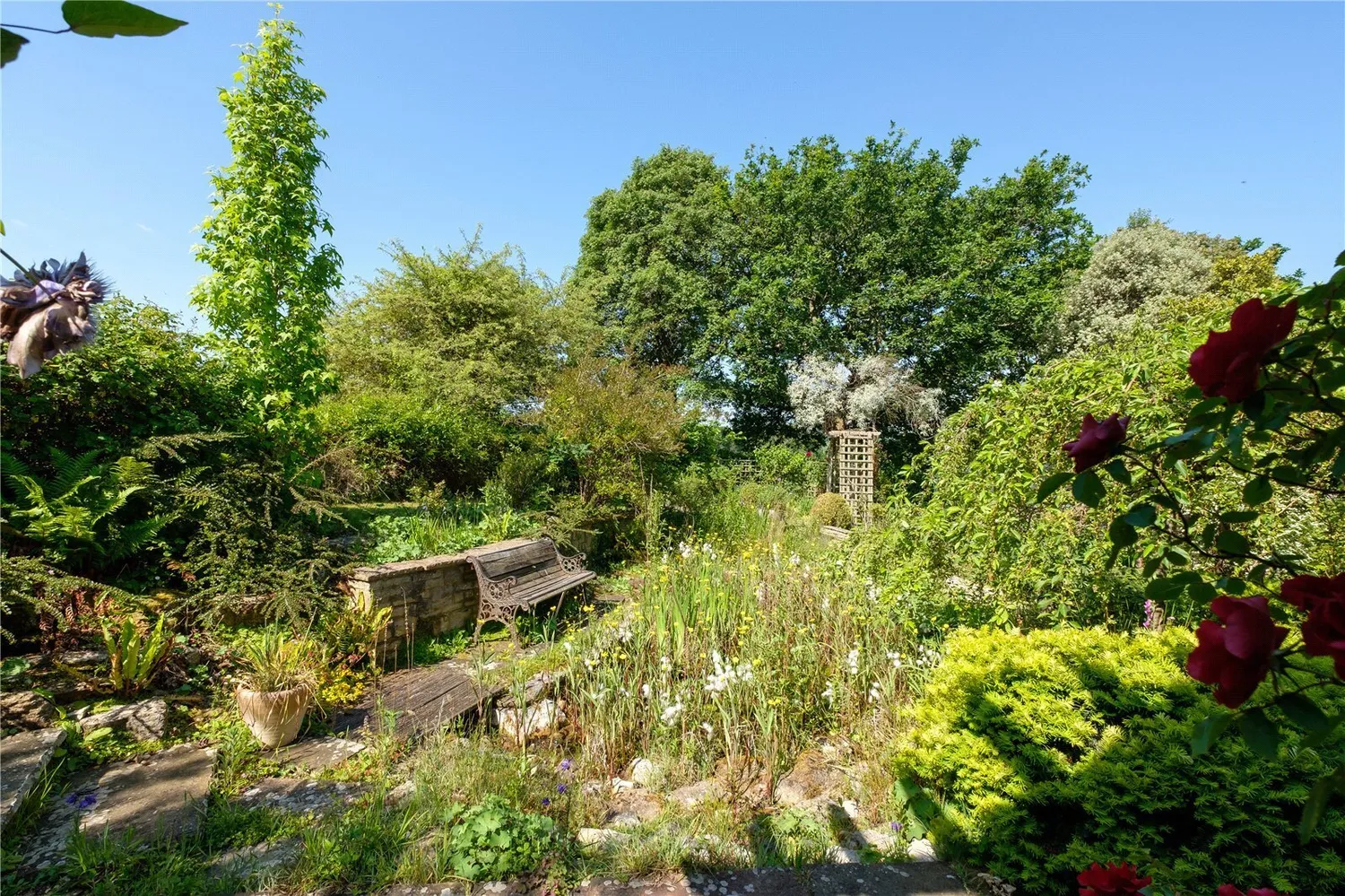 Whitchurch Canonicorum, Bridport, DT6 photo 43