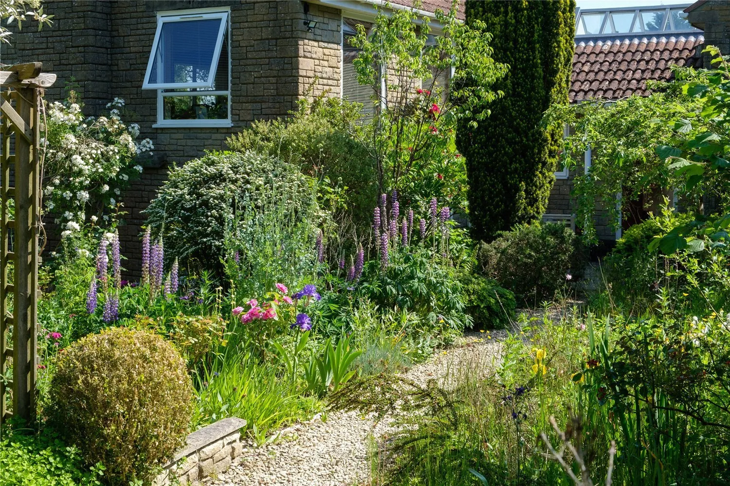 Whitchurch Canonicorum, Bridport, DT6 photo 49