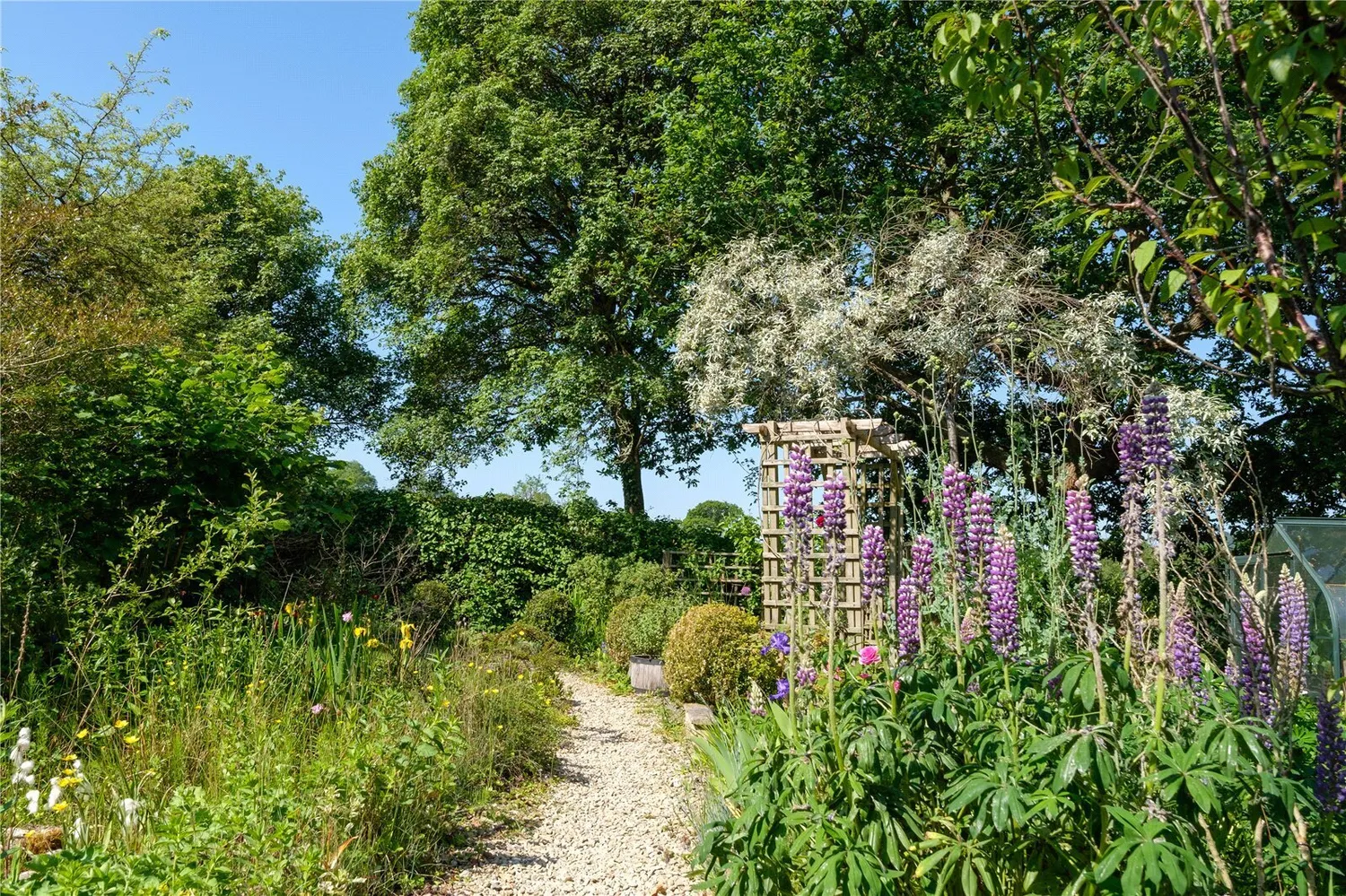 Whitchurch Canonicorum, Bridport, DT6 photo 52
