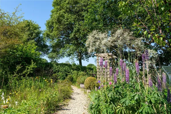 Whitchurch Canonicorum, Bridport, DT6 photo 52