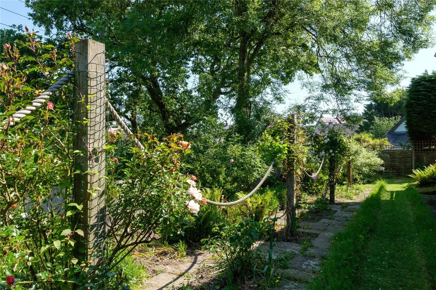 Whitchurch Canonicorum, Bridport, DT6 photo 54