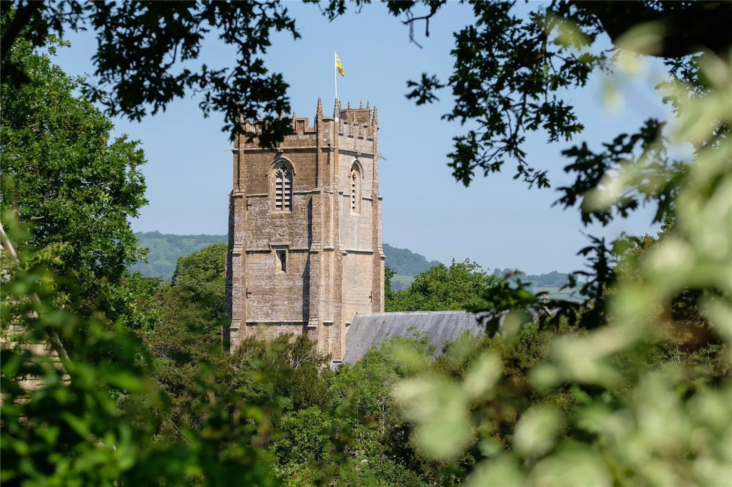 Whitchurch Canonicorum, Bridport, DT6 photo 56
