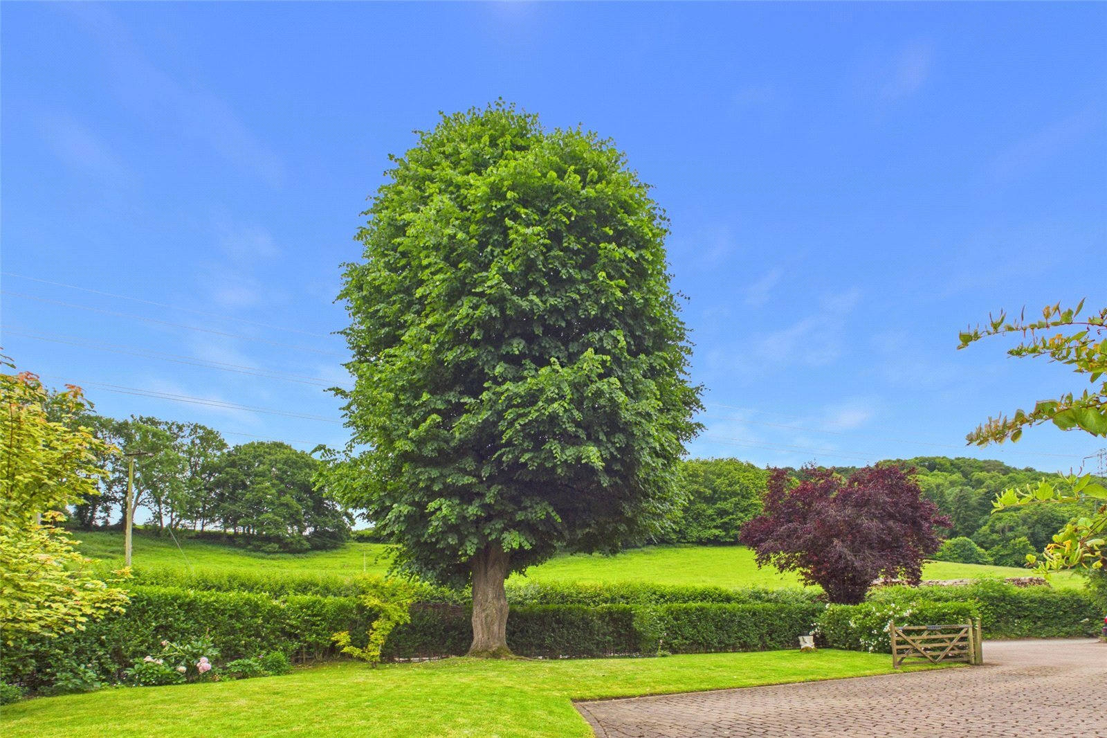 Pontshill, Ross-on-Wye, Herefordshire, HR9 Image 23