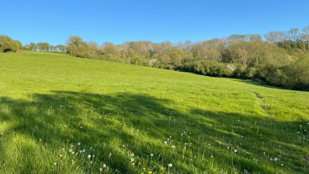 https://mr0.homeflow-assets.co.uk/files/photo/image/47728/9321/_x_/57975262.jpg
