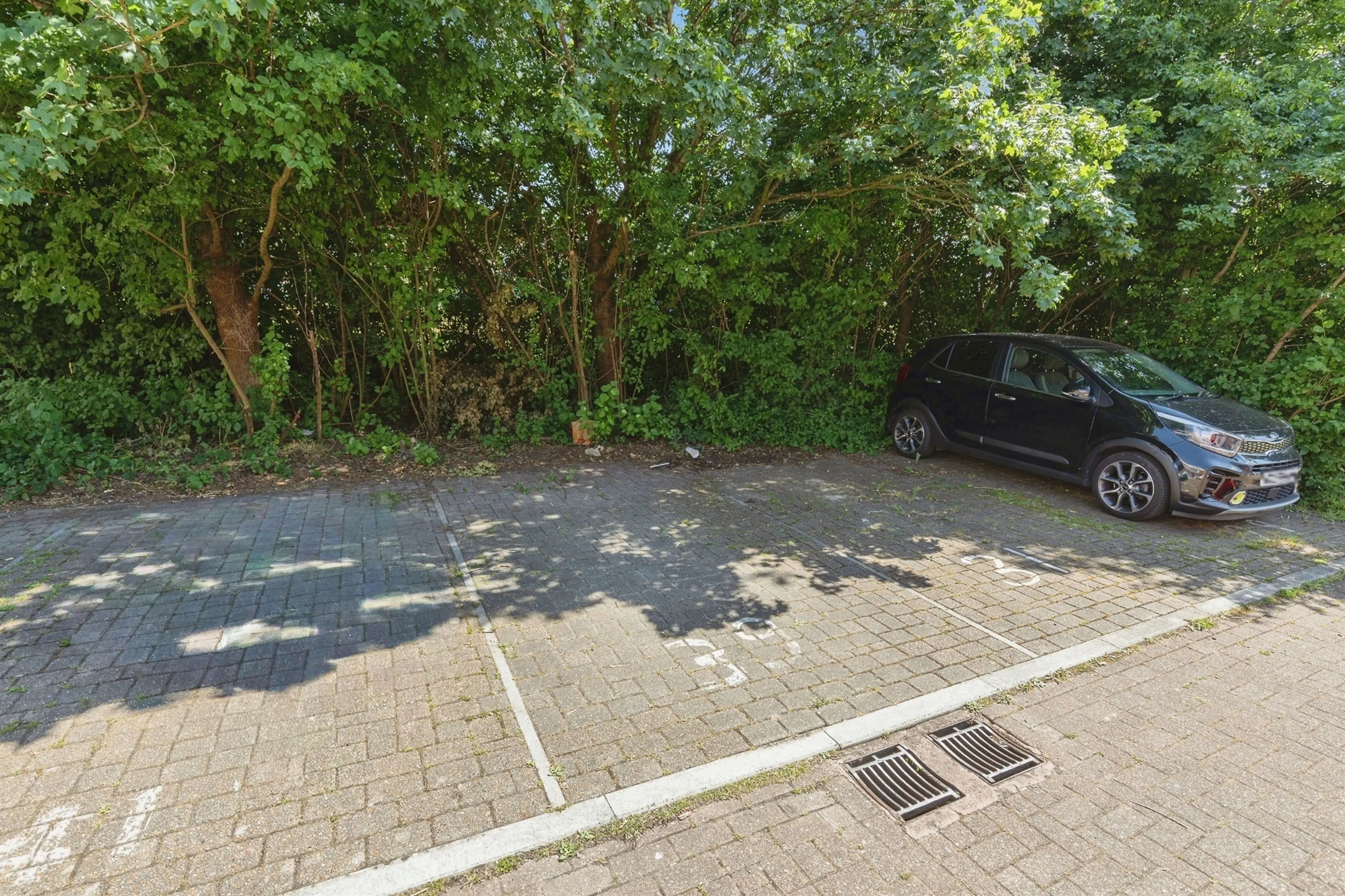 Property photo 12