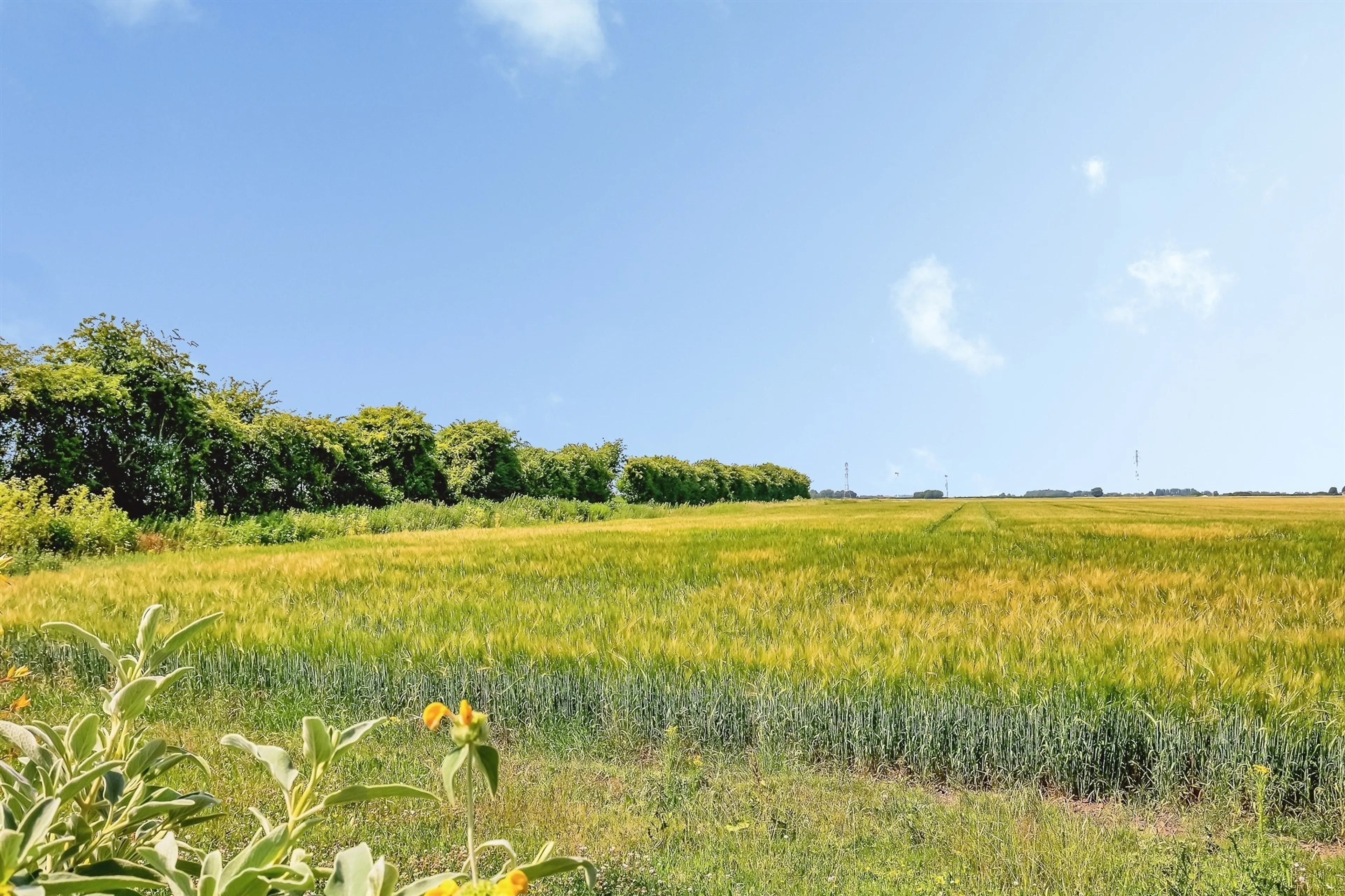 Property photo 23