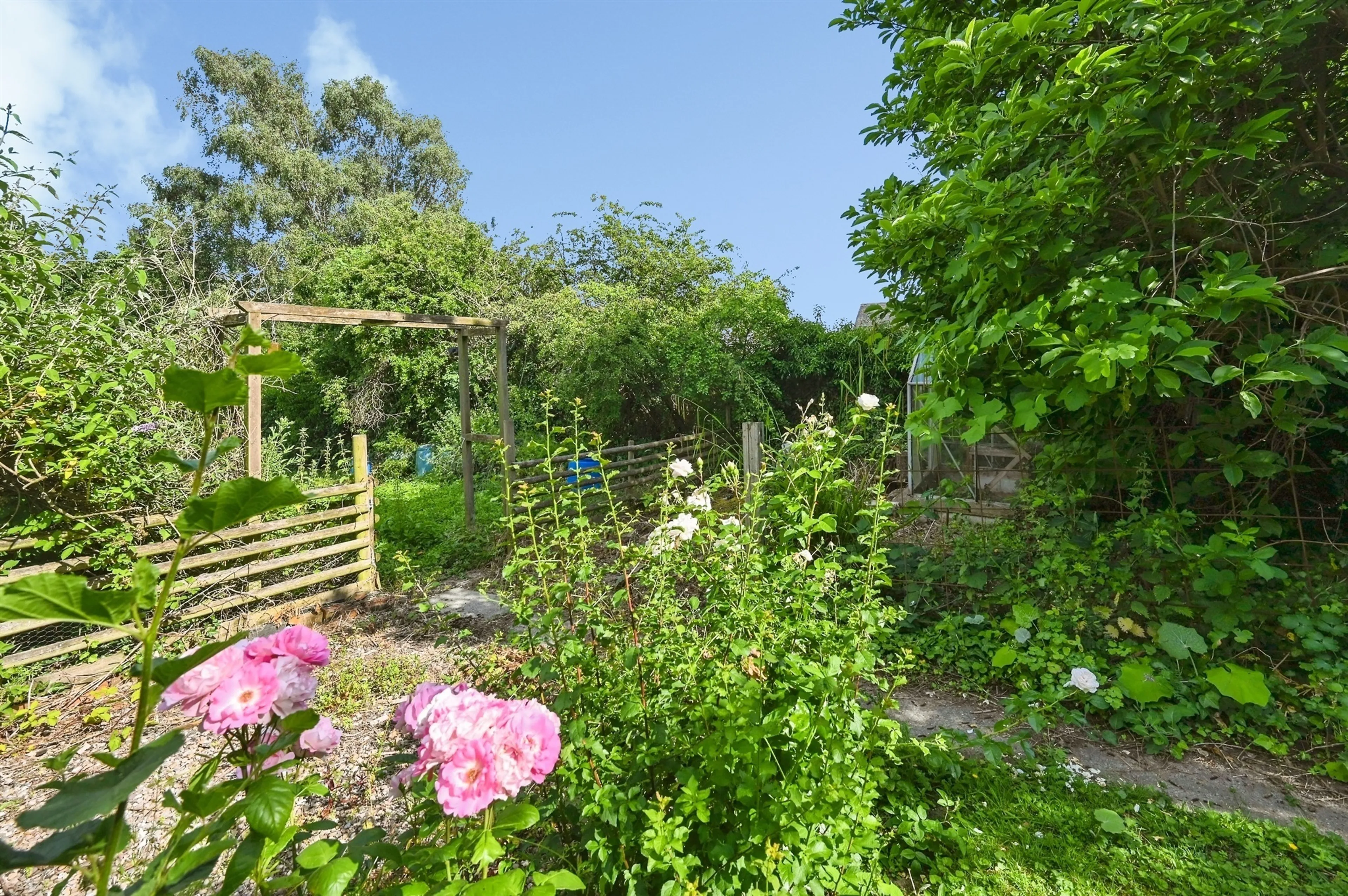Property photo 18