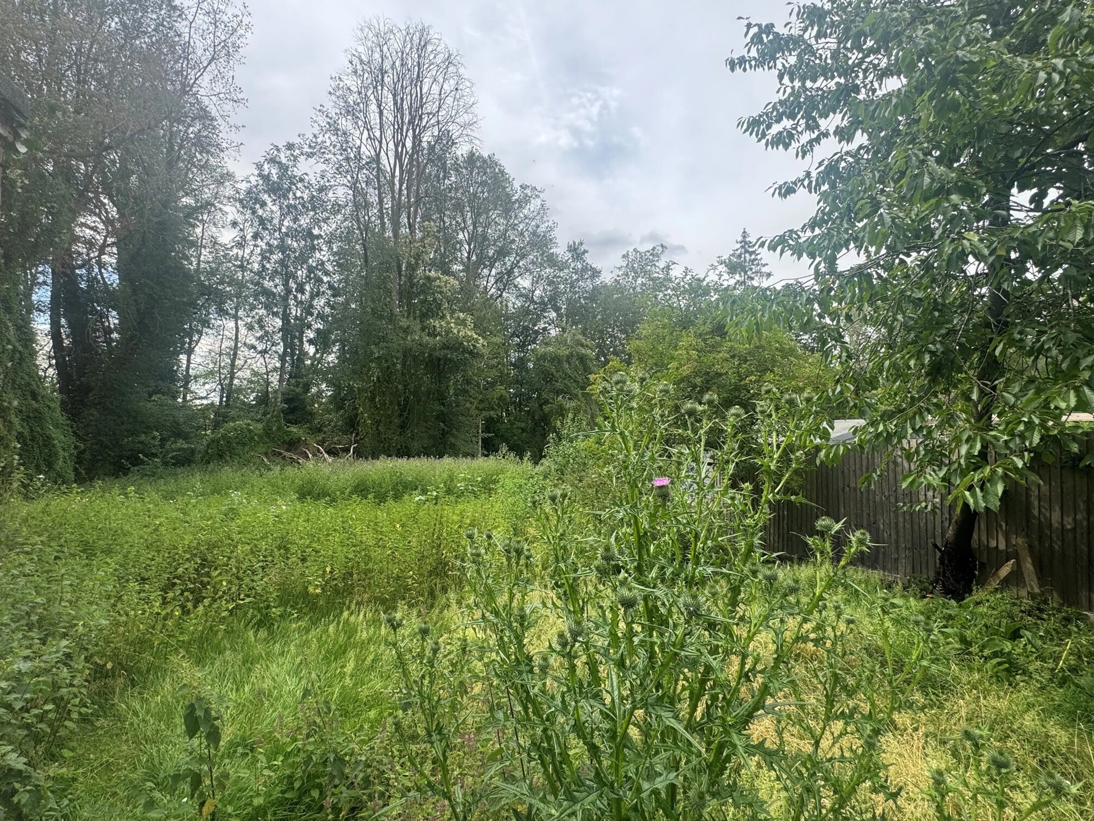 Property photo 13
