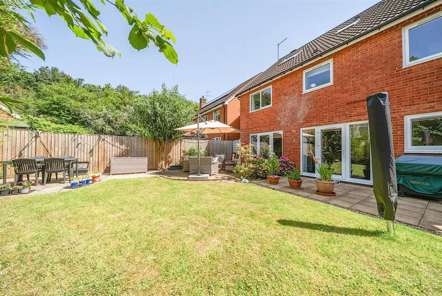 Property Image 14