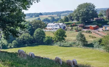 Harpford, Sidmouth