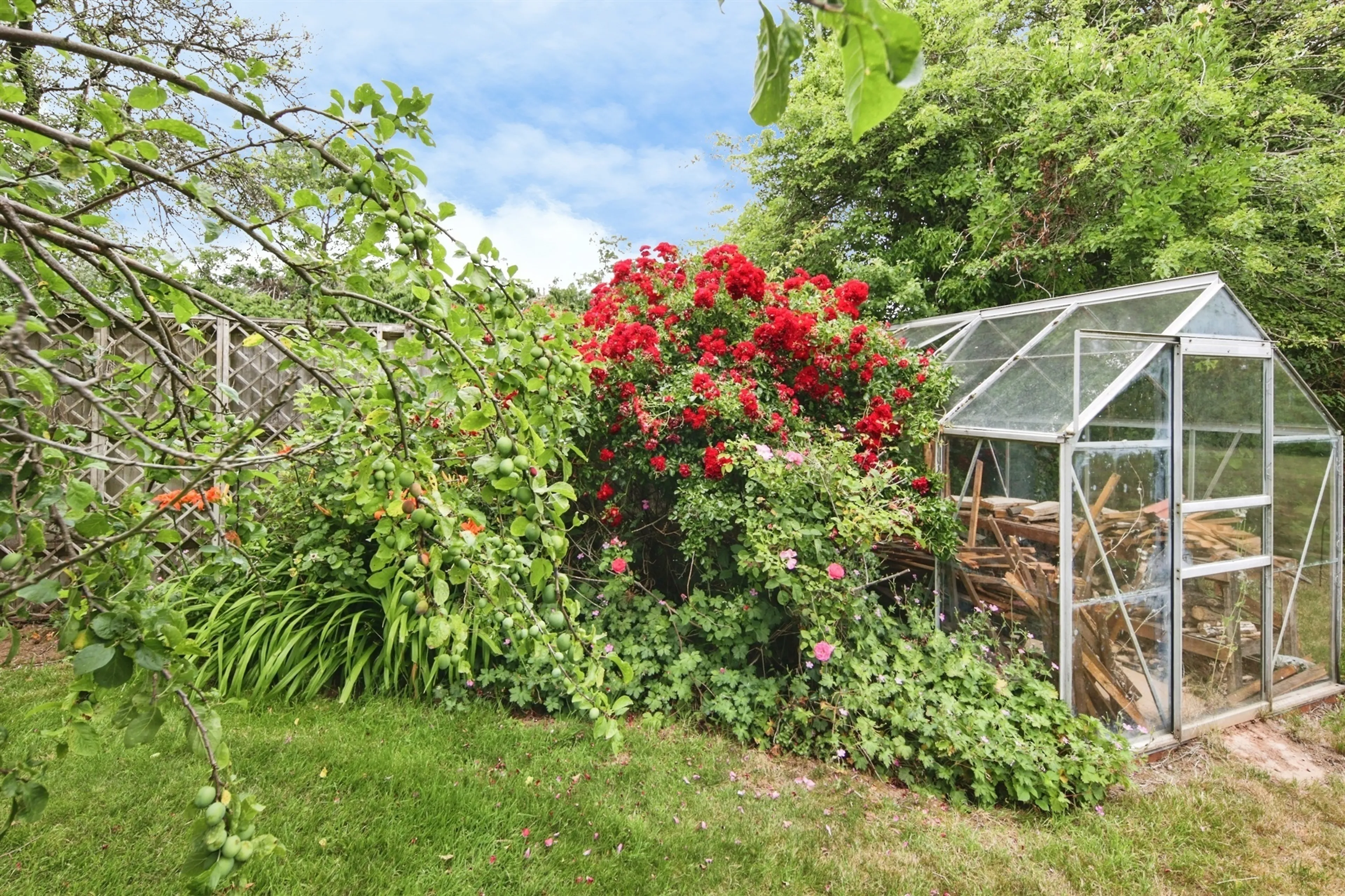 Property photo 10