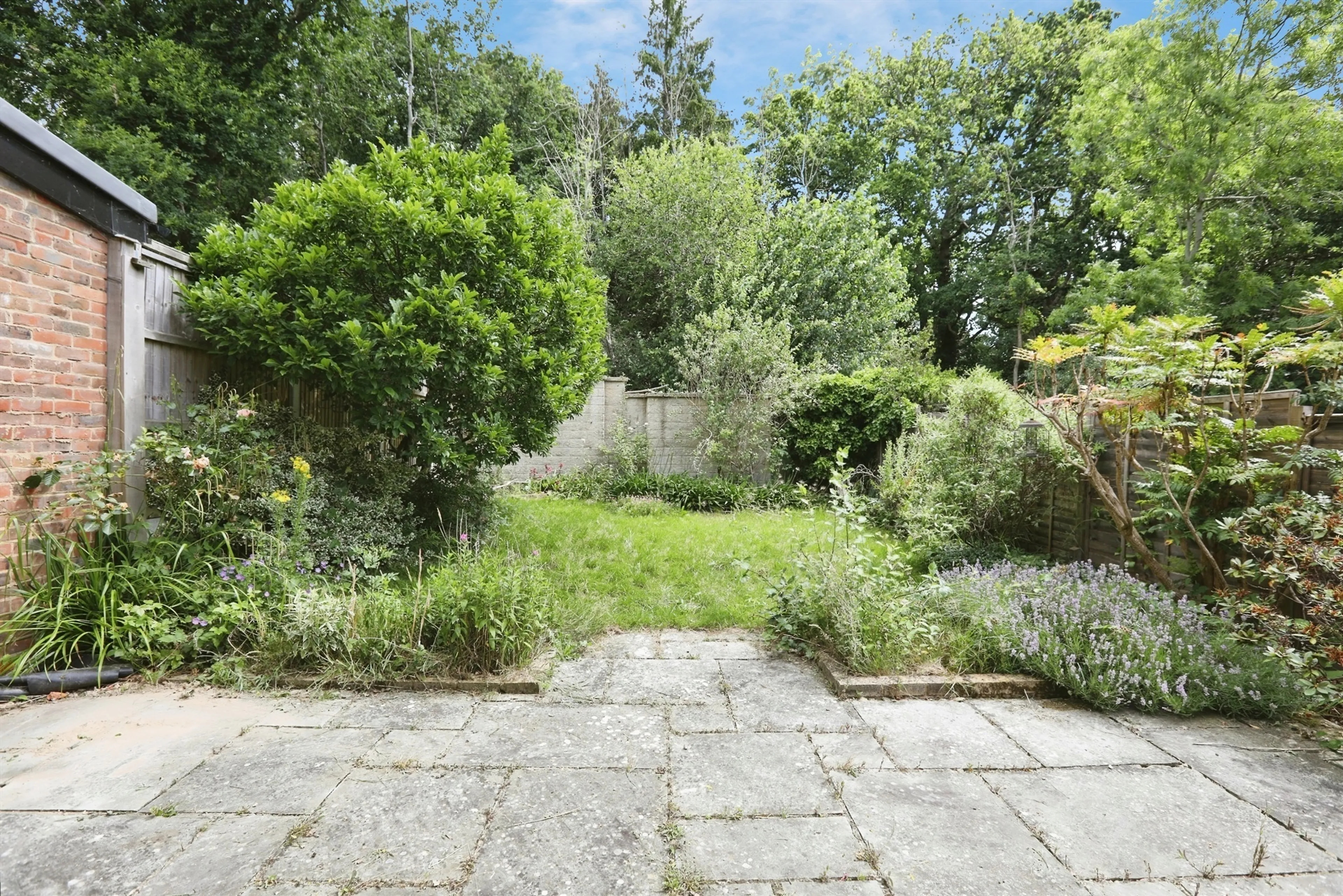 Property photo 12