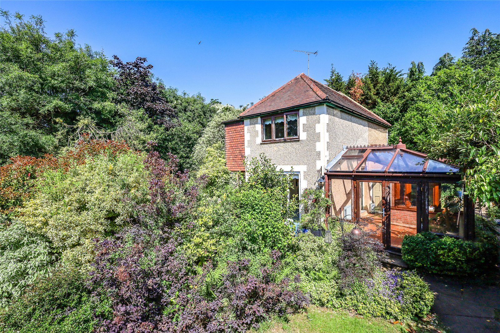 Rake Road, Liss, Hampshire, GU33 Image 24