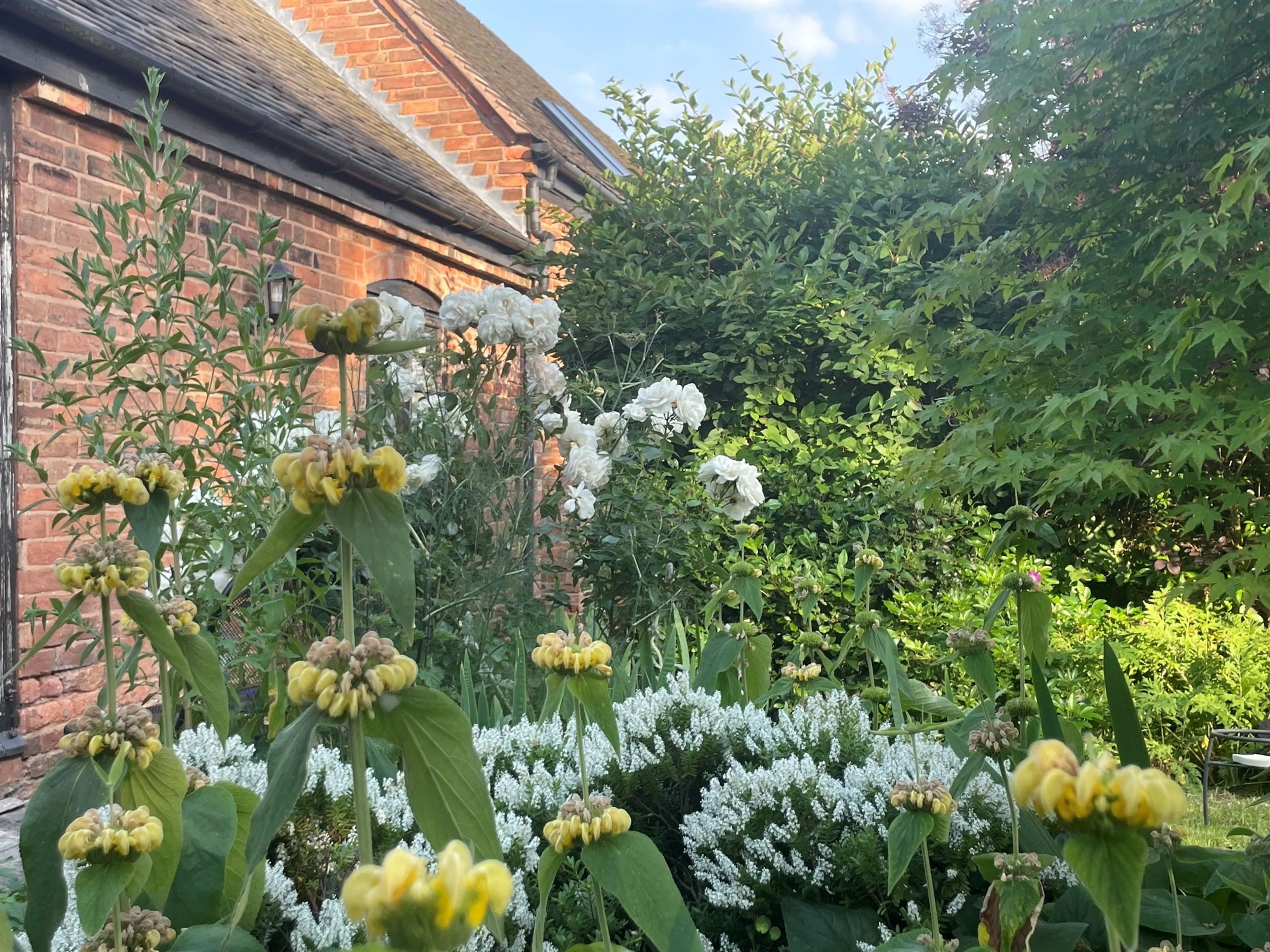 Property photo 23