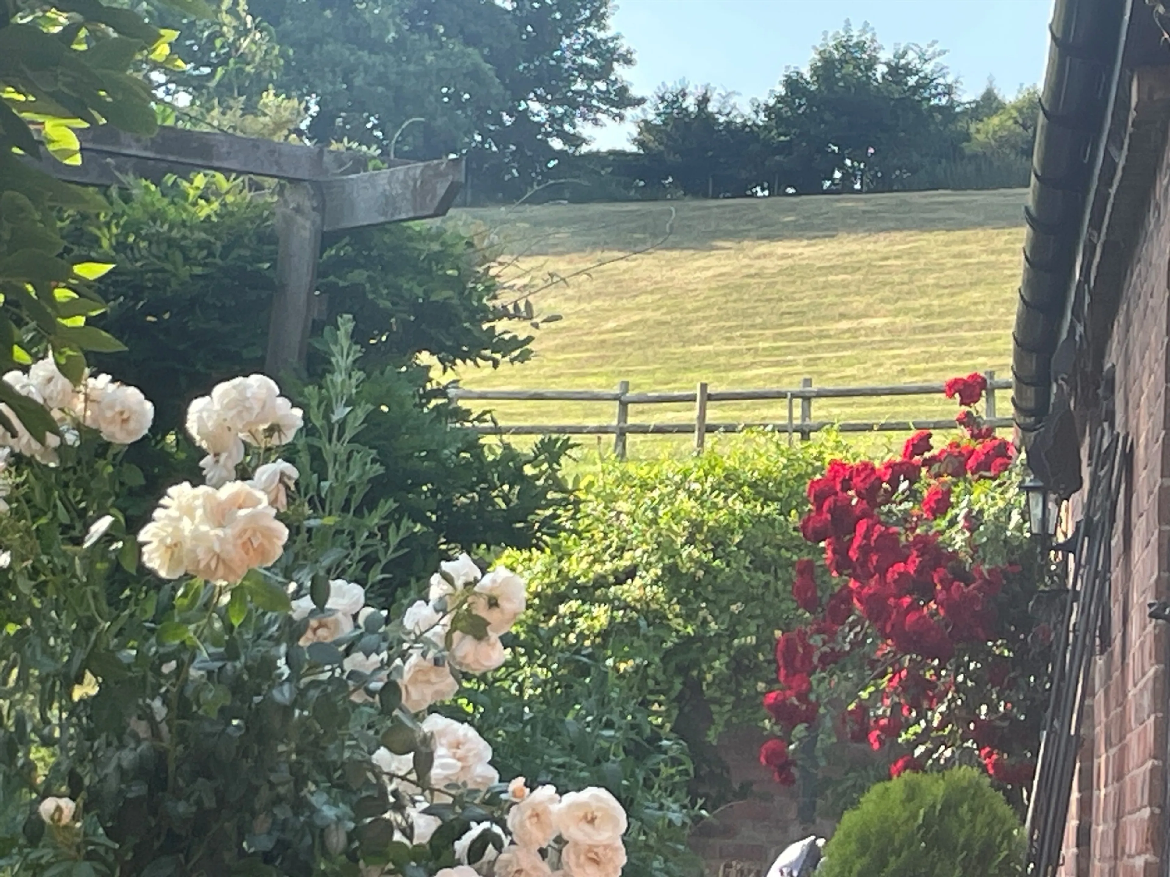 Property photo 25