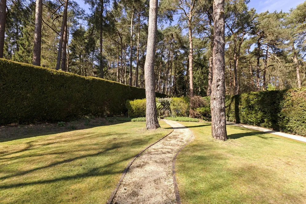 Star Hill Drive, Churt, Farnham, GU10 photo 20