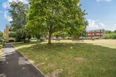 Avenue Road, Epsom, KT18 photo 4