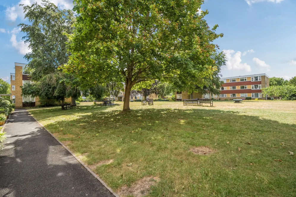 Avenue Road, Epsom, KT18 photo 4
