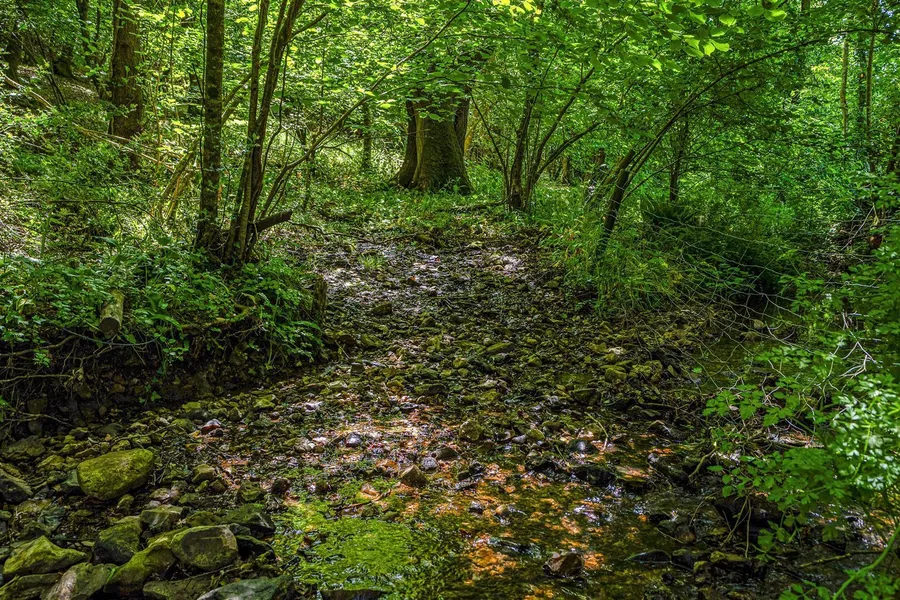 Property Image 18
