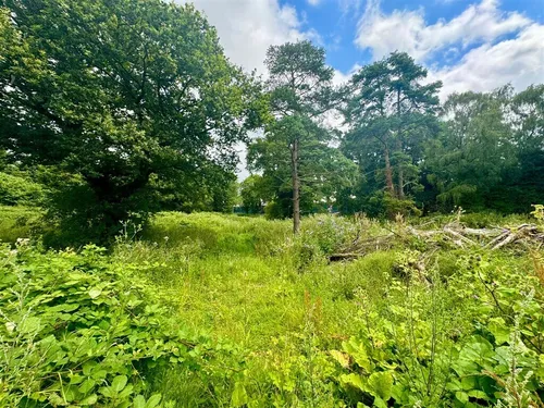 Peatlings Lane, WISBECHphoto
